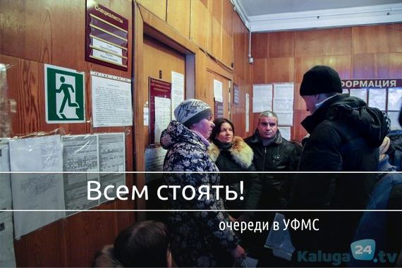 прописка в Кольчугино